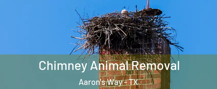 Chimney Animal Removal Aaron's Way - TX