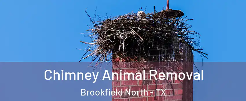 Chimney Animal Removal Brookfield North - TX