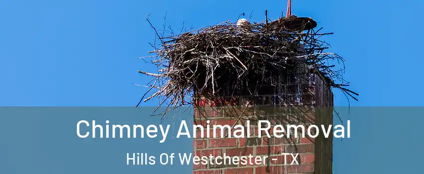 Chimney Animal Removal Hills Of Westchester - TX