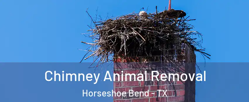 Chimney Animal Removal Horseshoe Bend - TX