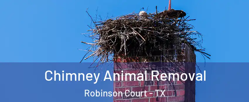 Chimney Animal Removal Robinson Court - TX