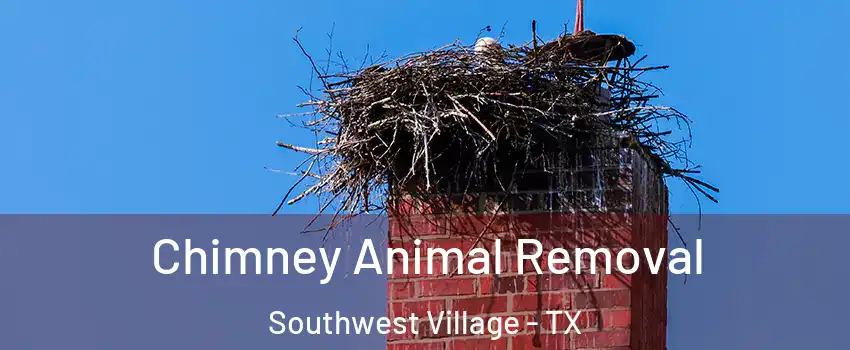 Chimney Animal Removal Southwest Village - TX