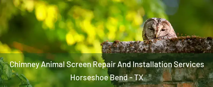 Chimney Animal Screen Repair And Installation Services Horseshoe Bend - TX