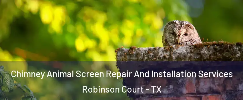 Chimney Animal Screen Repair And Installation Services Robinson Court - TX