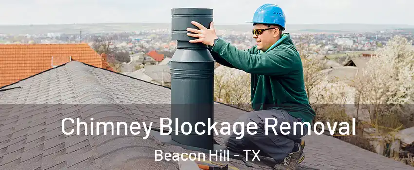 Chimney Blockage Removal Beacon Hill - TX