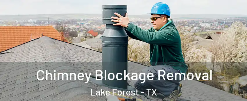 Chimney Blockage Removal Lake Forest - TX