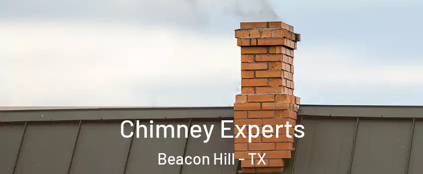 Chimney Experts Beacon Hill - TX