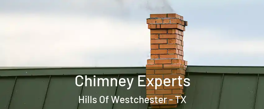 Chimney Experts Hills Of Westchester - TX