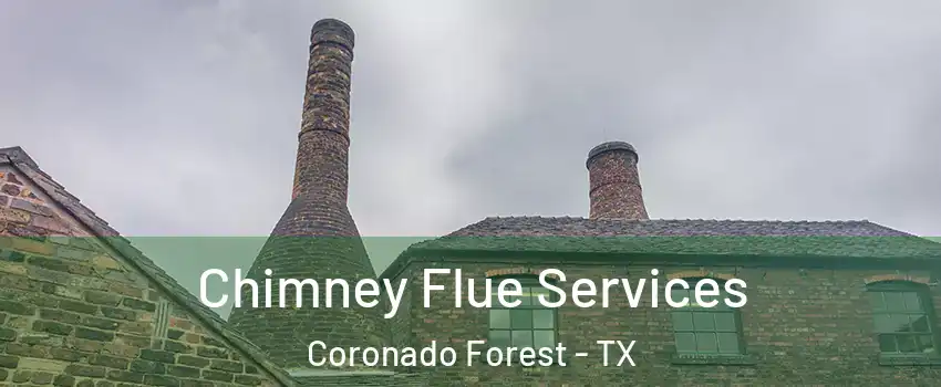 Chimney Flue Services Coronado Forest - TX