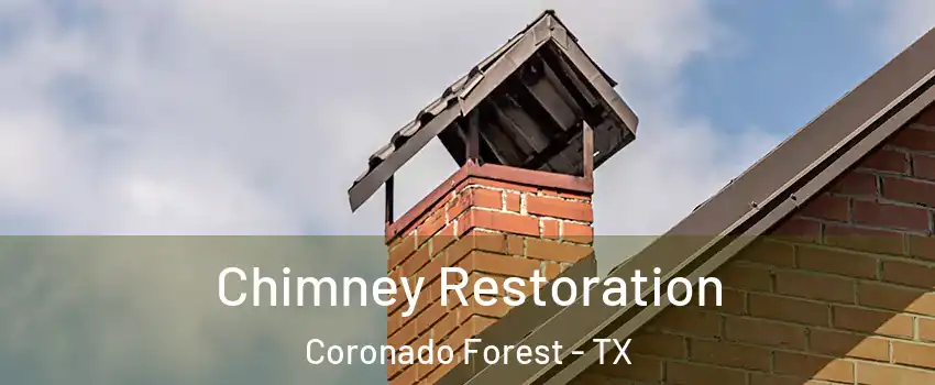 Chimney Restoration Coronado Forest - TX