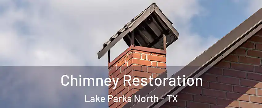 Chimney Restoration Lake Parks North - TX