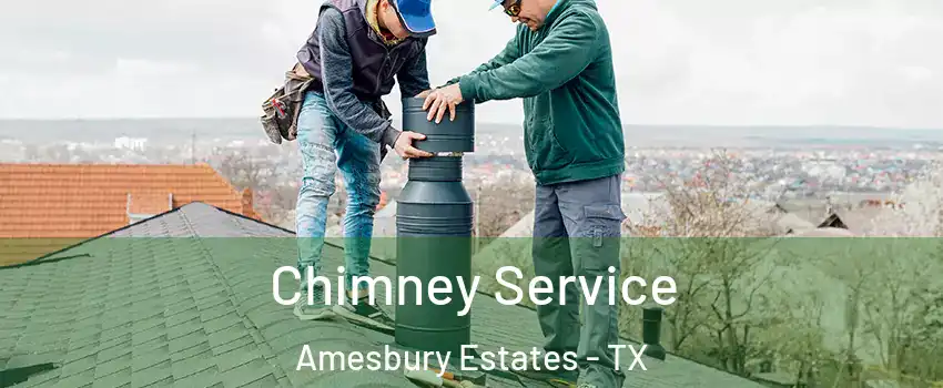 Chimney Service Amesbury Estates - TX