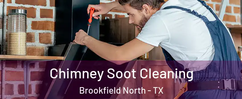 Chimney Soot Cleaning Brookfield North - TX