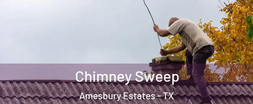 Chimney Sweep Amesbury Estates - TX