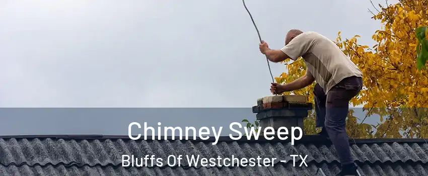 Chimney Sweep Bluffs Of Westchester - TX