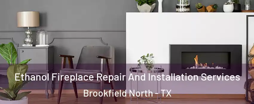 Ethanol Fireplace Repair And Installation Services Brookfield North - TX