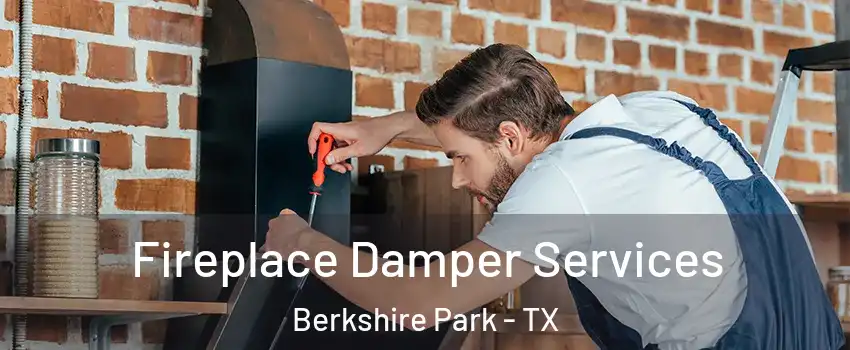 Fireplace Damper Services Berkshire Park - TX