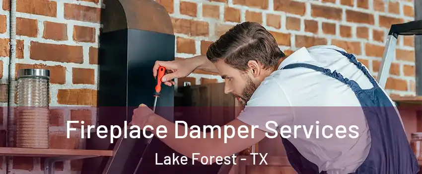 Fireplace Damper Services Lake Forest - TX