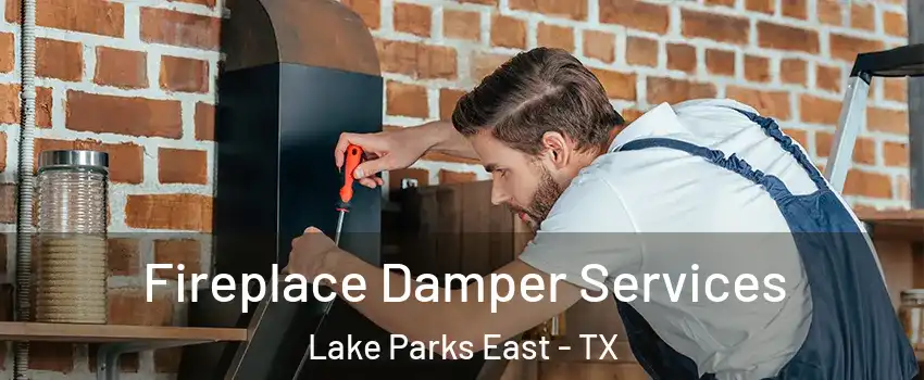 Fireplace Damper Services Lake Parks East - TX