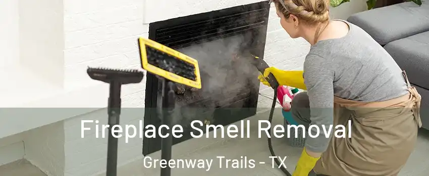 Fireplace Smell Removal Greenway Trails - TX