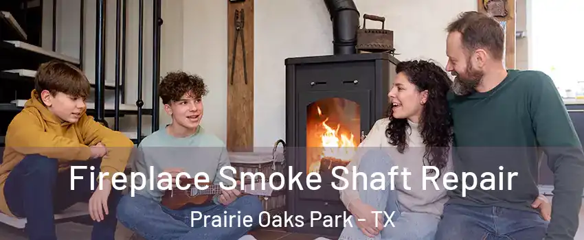 Fireplace Smoke Shaft Repair Prairie Oaks Park - TX