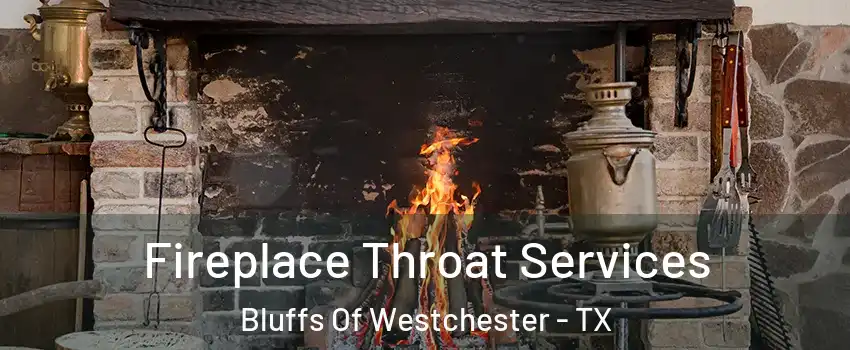 Fireplace Throat Services Bluffs Of Westchester - TX