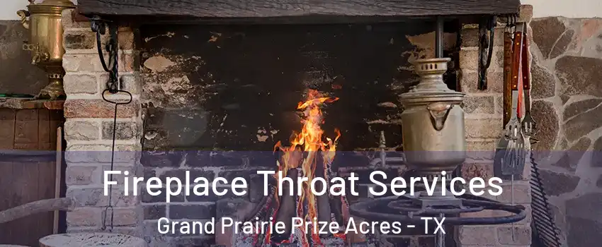 Fireplace Throat Services Grand Prairie Prize Acres - TX