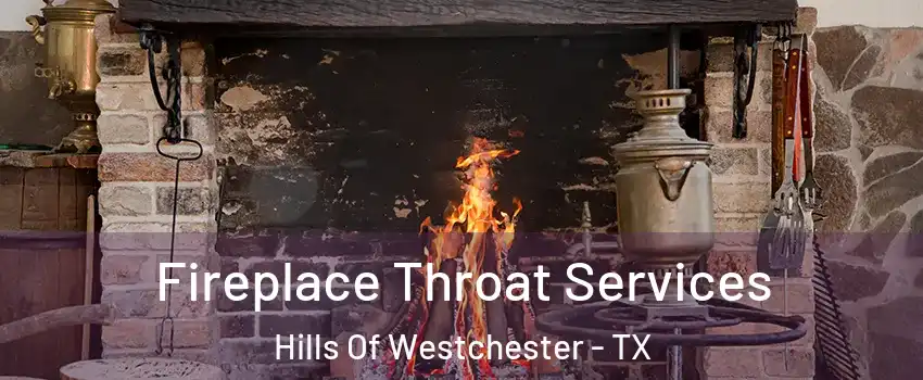 Fireplace Throat Services Hills Of Westchester - TX