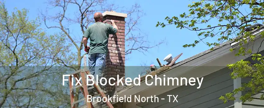 Fix Blocked Chimney Brookfield North - TX