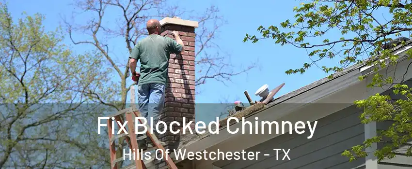 Fix Blocked Chimney Hills Of Westchester - TX