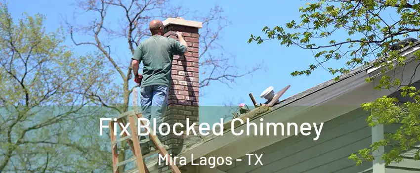 Fix Blocked Chimney Mira Lagos - TX