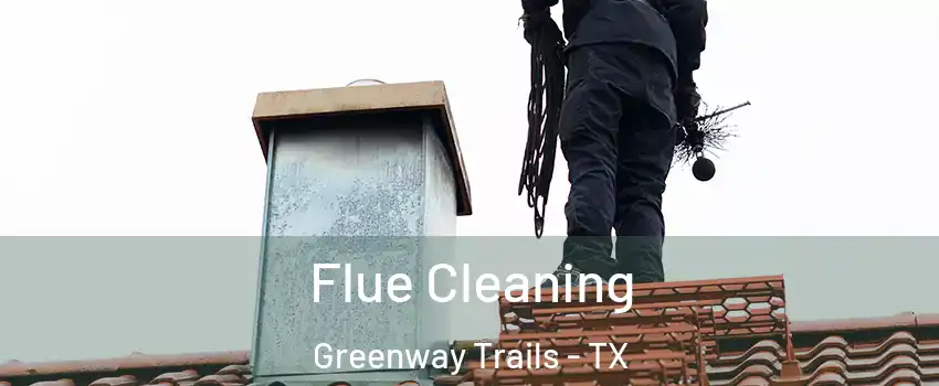 Flue Cleaning Greenway Trails - TX