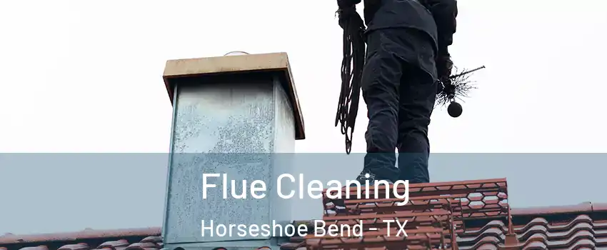 Flue Cleaning Horseshoe Bend - TX