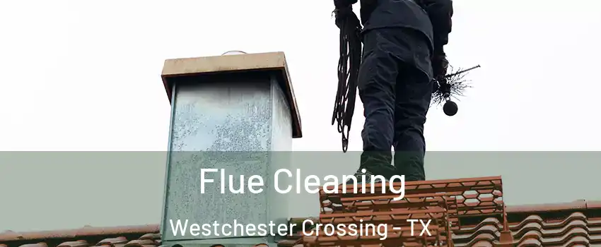 Flue Cleaning Westchester Crossing - TX