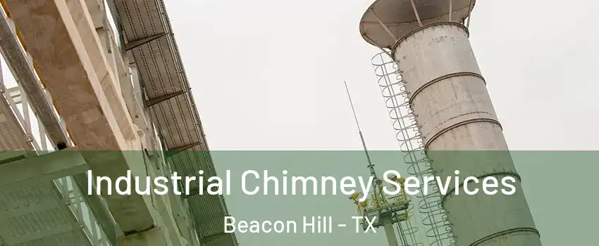 Industrial Chimney Services Beacon Hill - TX