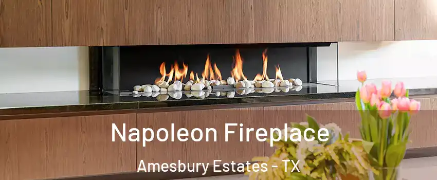 Napoleon Fireplace Amesbury Estates - TX