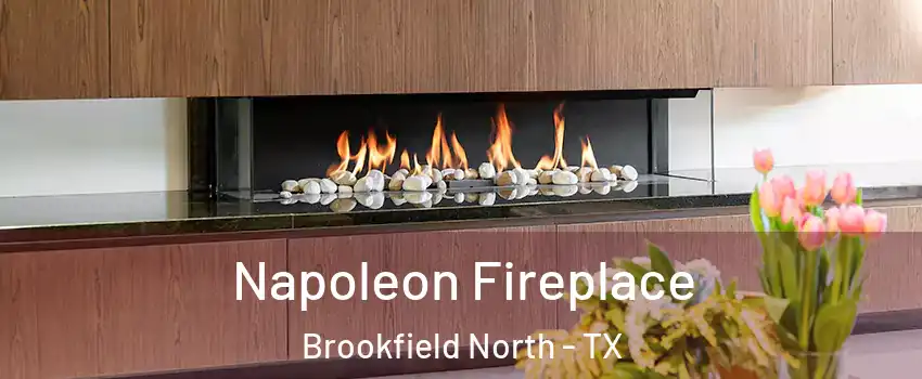 Napoleon Fireplace Brookfield North - TX