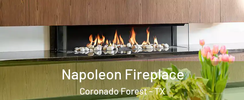 Napoleon Fireplace Coronado Forest - TX