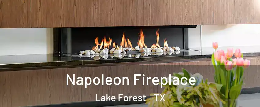 Napoleon Fireplace Lake Forest - TX