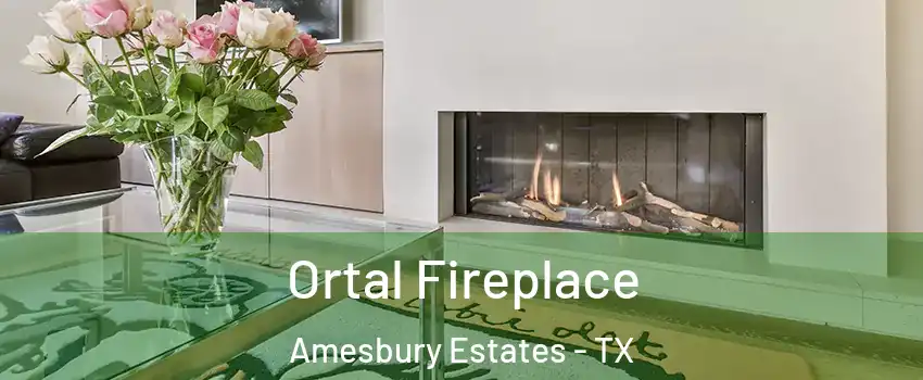 Ortal Fireplace Amesbury Estates - TX