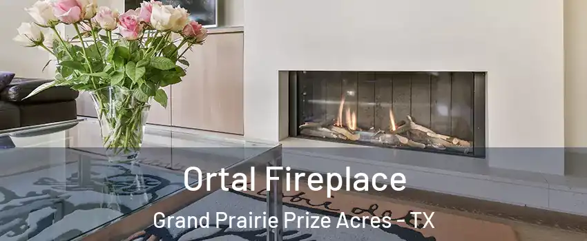 Ortal Fireplace Grand Prairie Prize Acres - TX