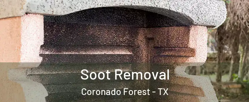 Soot Removal Coronado Forest - TX